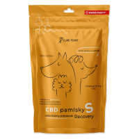 Cure Point CBD Recovery S Pamlsky pro psy 100 g