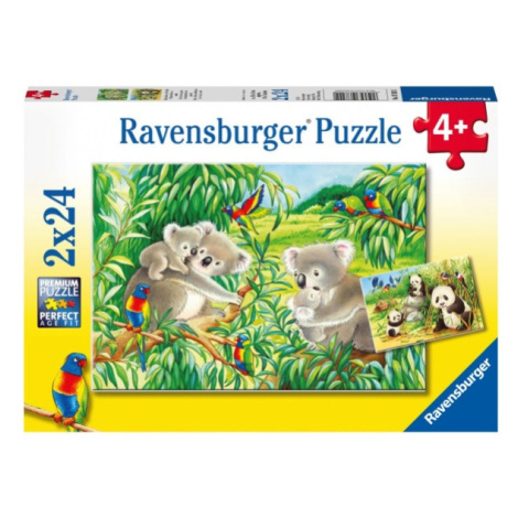 Roztomilé koaly a pandy 2x24 dílků Ravensburger
