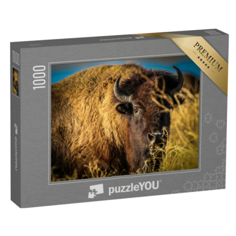puzzle „Buvoli pasoucí se na pastvině, Teton Valley“