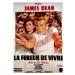 Fotografie REBEL WITHOUT A CAUSE, 26.7 × 40 cm