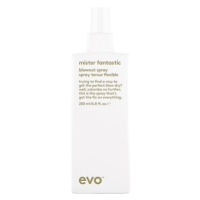 EVO Mister Fantastic Blowout Spray 200 ml