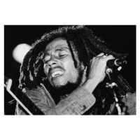 Fotografie Bob Marley Performs On Stage, Express Newspapers, 40 × 26.7 cm