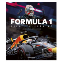 Formula 1: Drive to Survive (neoficiálny sprievodca) - kniha z kategorie Automobily a doprava