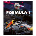 Formula 1: Drive to Survive (neoficiálny sprievodca) - kniha z kategorie Automobily a doprava