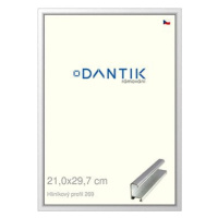 DANTIK rámeček 21 × 29,7, ALU profil 7269 Stříbrný lesklý sklo čiré