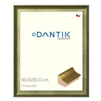 DANTIK rámeček 40 × 50, Ferrosa zlatý sklo čiré