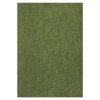 Lano - koberce a trávy Neušpinitelný kusový koberec Nano Smart 591 zelený - 120x170 cm