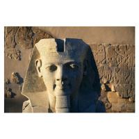 Fotografie Colossal Head of Ramesses at Temple of Luxor, Atlantide Phototravel, 40 × 26.7 cm