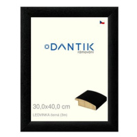 DANTIK rámeček 30 × 40, LEDVINKA černý plexi čiré