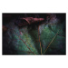 Fotografie Autumn leafs close up, Pyrosky, 40 × 26.7 cm