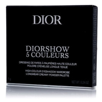 DIOR Diorshow 5 Couleurs 343 Khaki