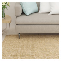 vidaXL Koberec přírodní sisal 80 x 250 cm