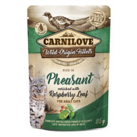 Carnilove Cat Pouch Rich in Pheasant Enriched with Raspberry Leaves 6 × 85 g