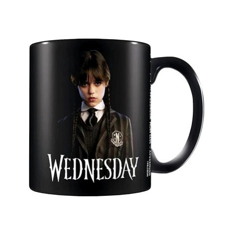 Netflix Wednesday: Friendship - keramický hrnek