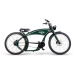 E-BIKE THE RUFFIAN Vintage Green 500 Wh