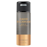 David Beckham pánský deodorant sprej Bold Instinkt 150ml