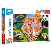 TREFL - Puzzle 100 - Krása přírody / Discovery Animal Planet