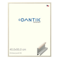 DANTIK rámeček 40 × 50, ALU profil 6035 Dýha slonová kost sklo čiré