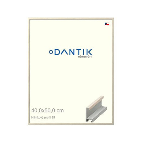 DANTIK rámeček 40 × 50, ALU profil 6035 Dýha slonová kost sklo čiré