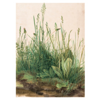 Obrazová reprodukce The Great Piece of Turf (1503), Albrecht Drer, 30 × 40 cm