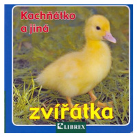 Kachňátko a jiná zvířátka - leporelo