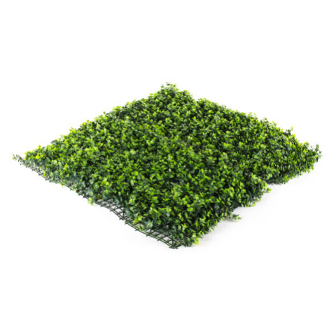 Umělý živý plot Hawaj Buxus High | Stěna 100 x 100 cm