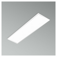 CENTURY LED PANEL P-QUADRO BACKLIGHT 295x1195x26mm 42W 4000K UGR19 FLICKER FREE IP20