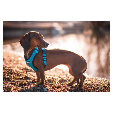 Vsepropejska Serg postroj s prodyšným povrchem pro psa | 28 – 78 cm Barva: Tmavě modrá, Obvod hr