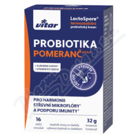 Vitar Probiotika+vláknina+vit.C a D 16x2g