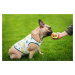 Vsepropejska Zada ovocné tričko s potiskem pro psa Barva: Zelená, Délka zad (cm): 29, Obvod hrud