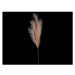 Umělá květina Pampas tráva 77 cm, světle hnědá
