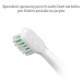 Truelife SonicBrush T-series Heads Standart White náhradní hlavice 2 ks