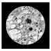 Umělecká fotografie Antique Illustration of Microscopic view of quartz, mikroman6, (40 x 40 cm)