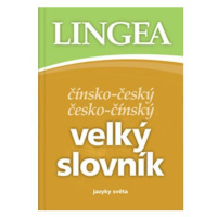 Čínsko-český, česko-čínský velký slovník