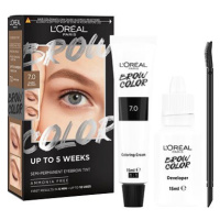 L'ORÉAL PARIS Brow Color 7.0 Dark Blond semi-permanentní