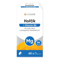 LIVSANE Hořčík + Vitamin B6 tbl.60