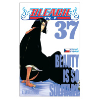 Bleach 37