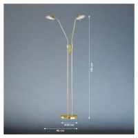 FISCHER & HONSEL LED stojací lampa Pool, mosazná barva, výška 160 cm, 2 světla.
