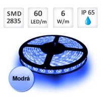 LED pásek 12V 60 led 2835 modrá 1m ip65 (koszulka termokurczliwa wodoodporna) profesionálni TERM