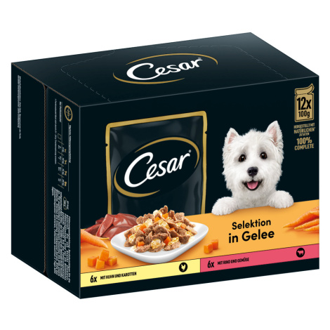 Cesar výběr maso a zelenina v želé - 24 x 100 g