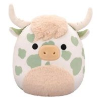 Squishmallows Skotský náhorní skot Celestino