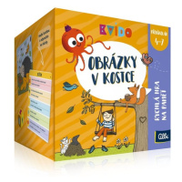 Kvído -  Obrázky v kostce