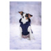 Vsepropejska Fala zimní bunda s kapucí pro psa Barva: Modrá, Délka zad (cm): 22, Obvod hrudníku: