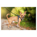 Vsepropejska Neve postroj pro psa s vodítkem | 23 – 49 cm Barva: Šedo-růžová, Obvod hrudníku: 32