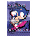 Plakát, Obraz - Sonic the Hedgehog - Always Runnig, 61 × 91.5 cm