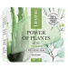 Lirene Power of Plants ALOE hydratační pleťový krém 50ml