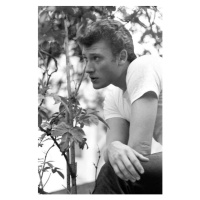 Umělecká fotografie Johnny Hallyday, (26.7 x 40 cm)