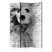 Paraván Dynamic Football Dekorhome 225x172 cm (5-dílný)