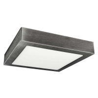 Greenlux LED Stropní svítidlo FENIX LED/12W/230V 3800K 17 cm