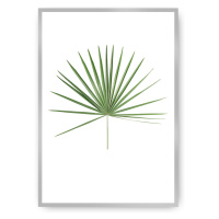 Dekoria Plakát Tropical Leaf Green, 30 x 40 cm, Vybrat rám: Stříbrný